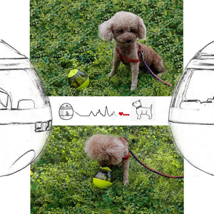 INTERACTIVE PET FEEDER