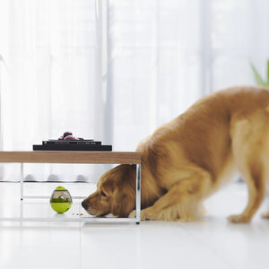 INTERACTIVE PET FEEDER