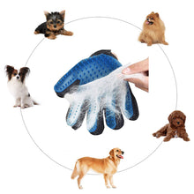 Pet Grooming