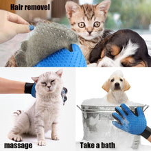 Pet Grooming