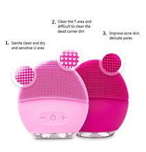 ELECTRIC FACE CLEANSING MASSAGER BRUSH