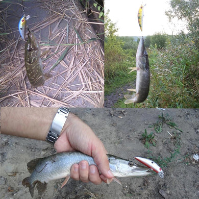 PRO FISHING LURE